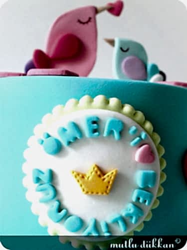 BABY SHOWER BUT?K PASTA