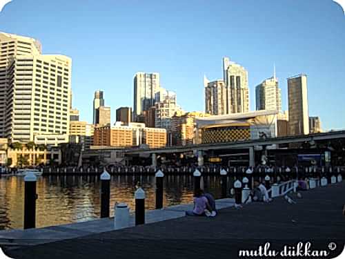 PLANET CAKE VE SYDNEY - III