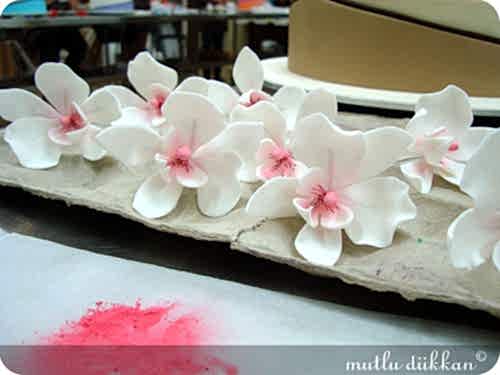 PLANET CAKE VE SYDNEY - IV