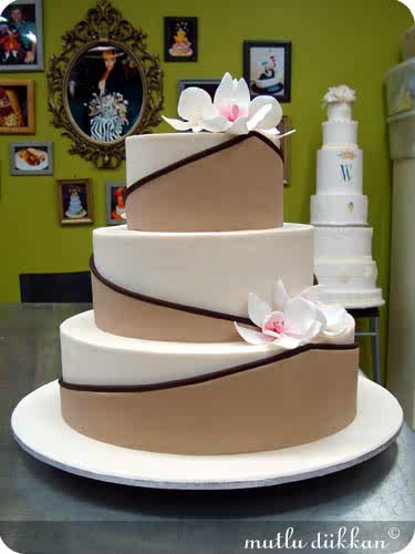 PLANET CAKE VE SYDNEY - IV