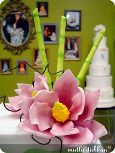 PLANET CAKE VE SYDNEY - IV