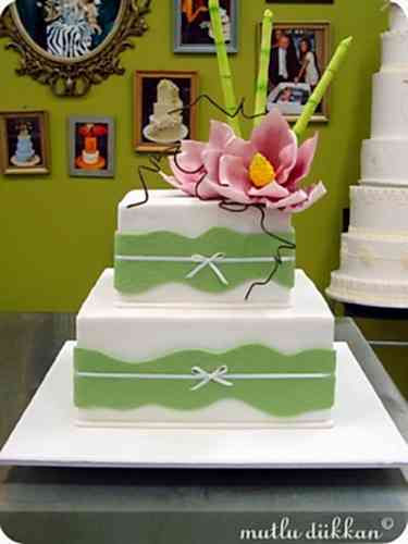 PLANET CAKE VE SYDNEY - IV
