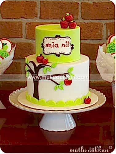 BABY SHOWER PART?S?